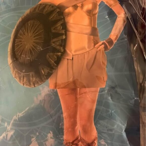 ladies size XL 12/14 Wonder Woman Bronze Warrior Costume with Roman Sandals - Picture 2 of 9